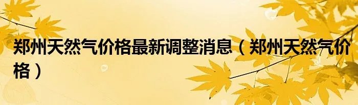 郑州天然气价格最新调整消息（郑州天然气价格）