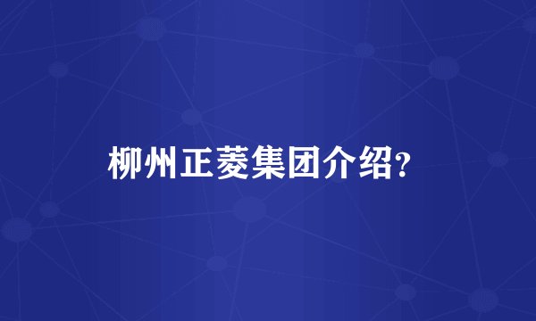 柳州正菱集团介绍？