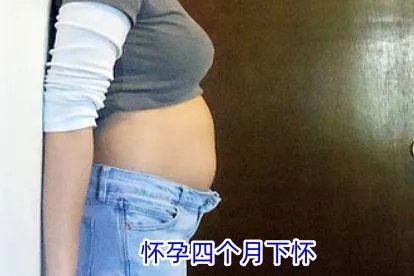 怀孕四个月肚子下怀图片