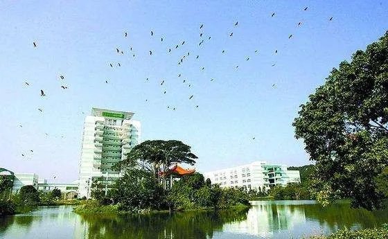 福建农林大学教务管理系统怎么更改四六级报名照片