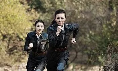 《战天狼》电视剧演员表,剧情介绍