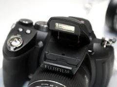 “打鸟”专用大炮