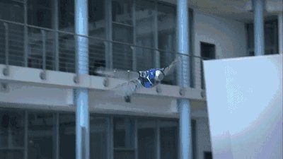 干掉人类的会是它们吗?2019全球最强9大超级仿生机械!