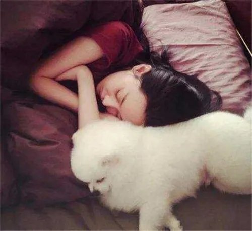 梦见和老公离婚代表什么意思  梦见和老公离婚应该怎么办