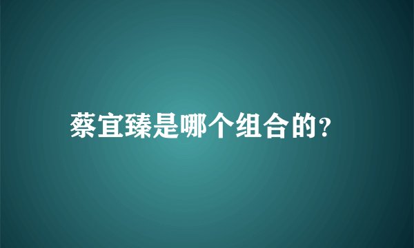 蔡宜臻是哪个组合的？