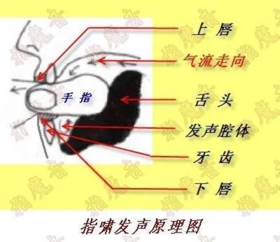 怎么用手吹口哨，最好有图