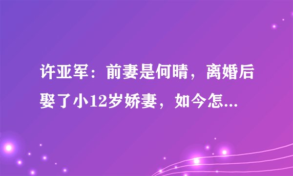 许亚军：前妻是何晴，离婚后娶了小12岁娇妻，如今怎么样了？