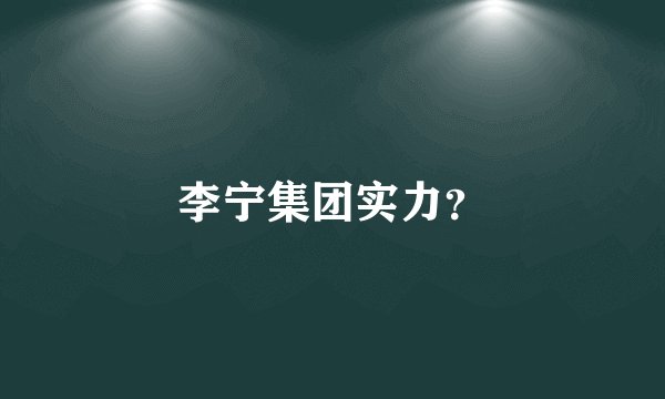 李宁集团实力？
