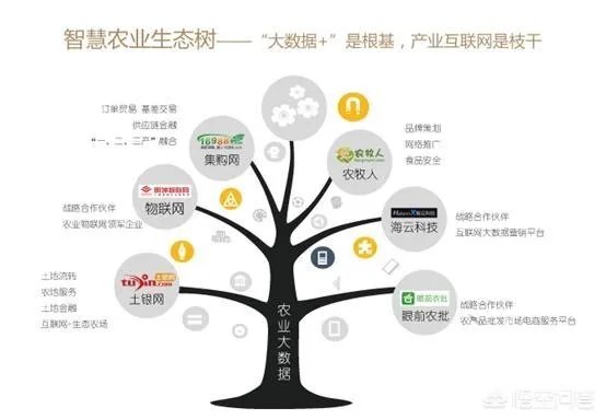 2018年生猪价格行情走势如何？