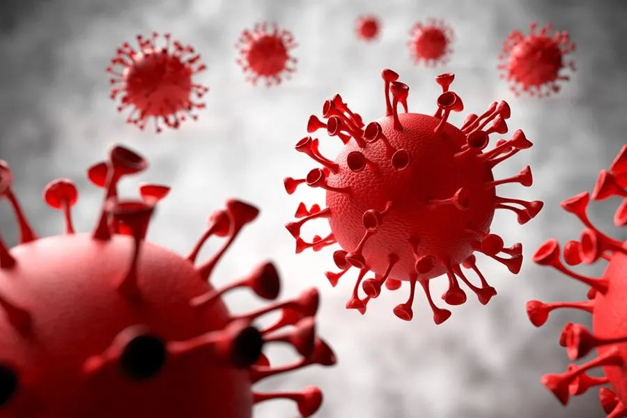 新冠病毒最开始叫什么名字