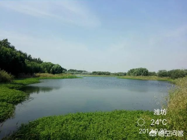 潍坊湿地公园在哪里？有多大？