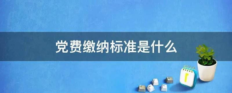 党费缴纳标准是什么