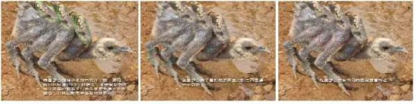 肯德基麦当劳那个六翅鸡的事情到底怎么说啊，搞得我现在都不太敢去吃了