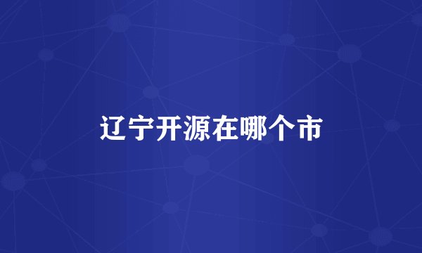 辽宁开源在哪个市