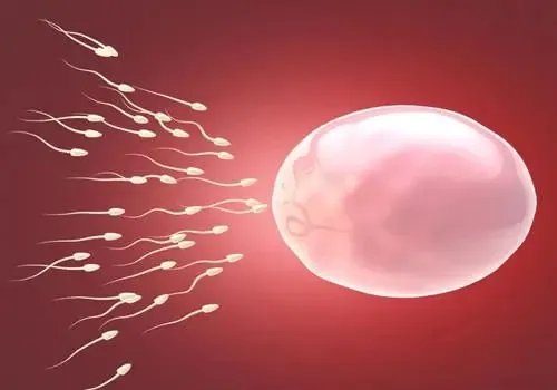 试管取卵可以打麻药吗-在蚌埠医学院第一附属医院试管婴儿取卵会麻醉吗？