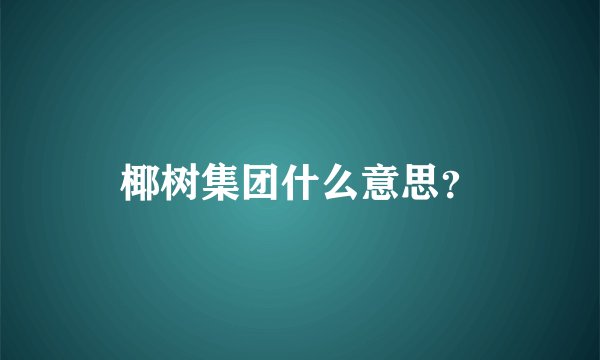 椰树集团什么意思？