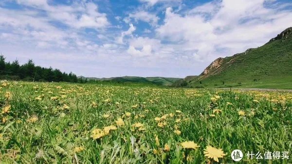 最全坝上草原旅游攻略，坝上草原住宿农家院一次全搞定。