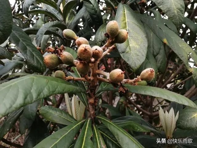 妈妈用身体给高考儿子释放压力