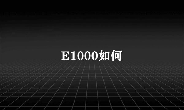 E1000如何