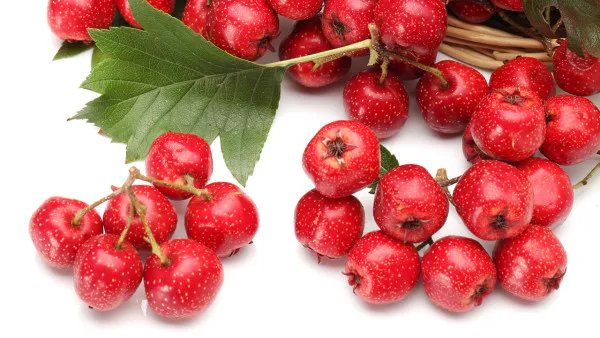 吃什么补血最快？8款补血食谱吃出红润面色