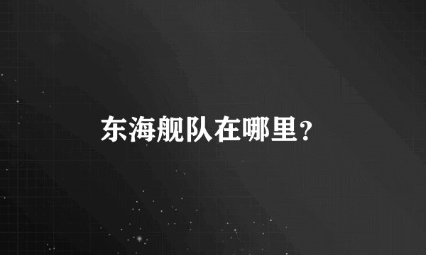 东海舰队在哪里？