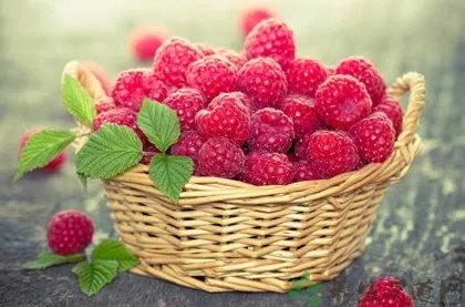 覆盆子酒的功效有哪些