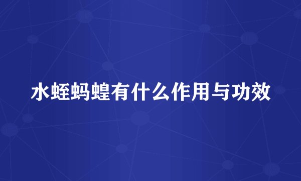 水蛭蚂蝗有什么作用与功效