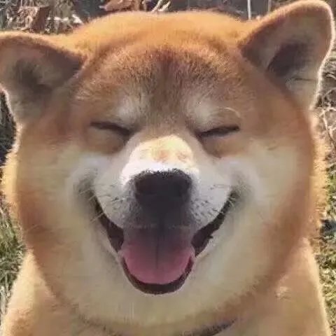 山西省灵石县怎么样，值得一去么？