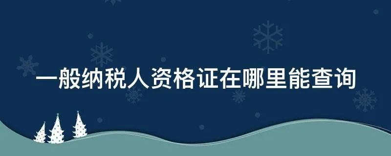 一般纳税人资格证在哪里能查询