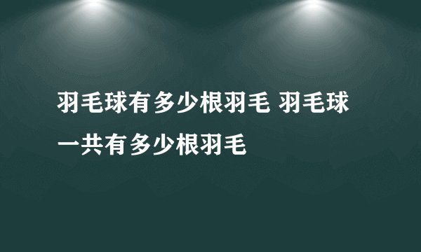羽毛球有多少根羽毛 羽毛球一共有多少根羽毛
