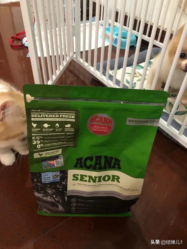 有没有比较好的猫粮推荐一下？