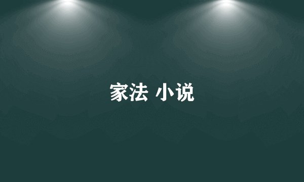 家法 小说
