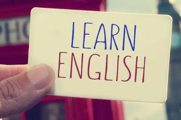 society是什么意思