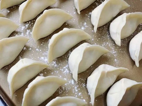 猪肉白菜饺子用什么白菜