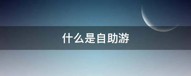 什么是自助游