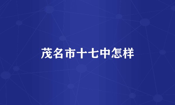 茂名市十七中怎样