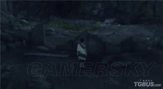 《最后的守护者》图文攻略 全章节图文流程攻略