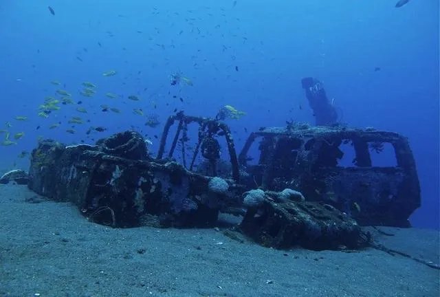 什么是人工鱼礁?
