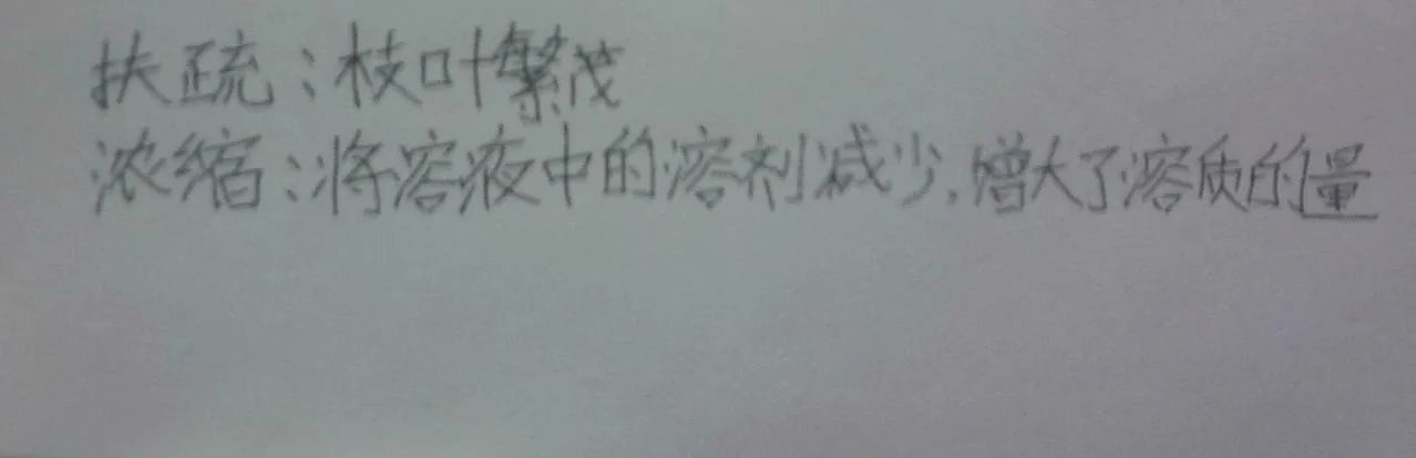 扶疏的意思是什么？还有浓缩的意思是什么？