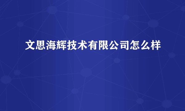 文思海辉技术有限公司怎么样