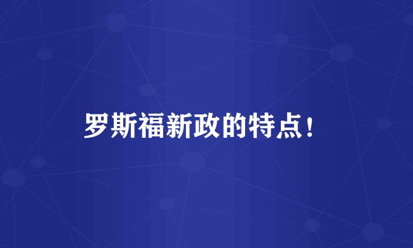 罗斯福新政的特点！