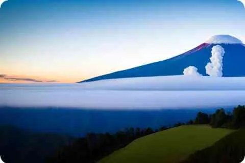 胆怯是什么意思？