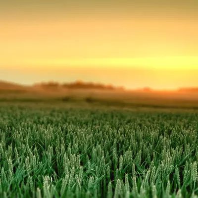 风水上最好的微信头像，微信用什么头像最吉利？