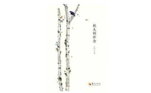 《秋天的怀念》评课稿