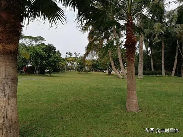 现在可以去海南自驾游吗?