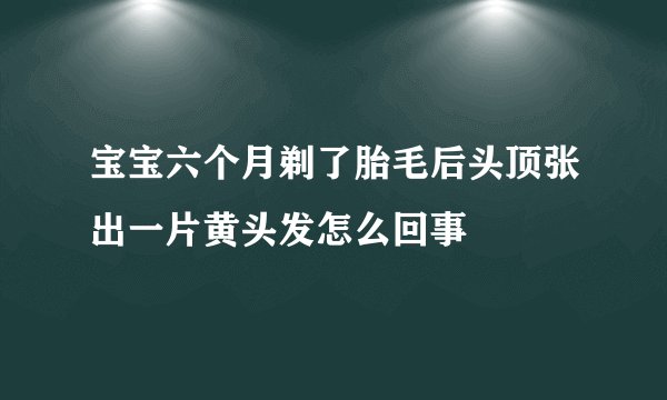 宝宝六个月剃了胎毛后头顶张出一片黄头发怎么回事