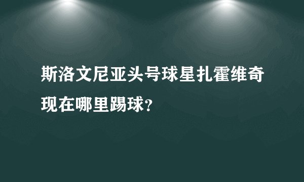 斯洛文尼亚头号球星扎霍维奇现在哪里踢球？