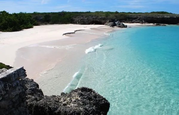 布兰基亚岛的介绍