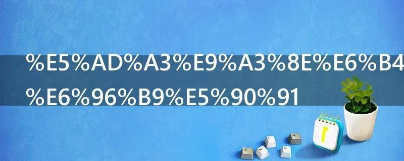 季风洋流的方向