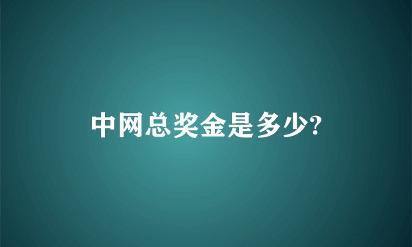 中网总奖金是多少?